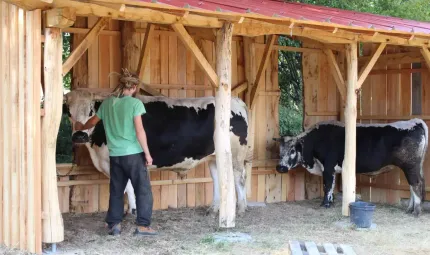 Abri pour animaux